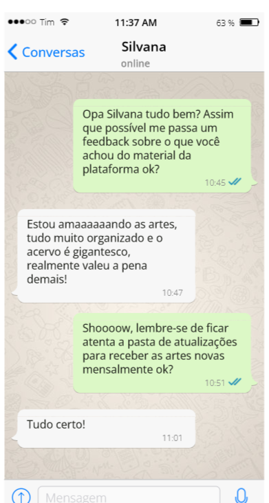 Conversa no WhatsApp em que Silvana conta que está amando as artes e o acervo organizado da plataforma